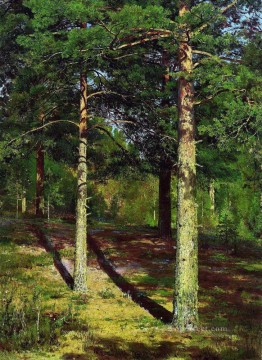 ウッズ Painting - 太陽に照らされた松 1886 古典的な風景 イワン・イワノビッチの木々